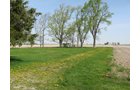 Property photo 10 - 172 Acres Offered in 3 Tracts - Prime Farmland